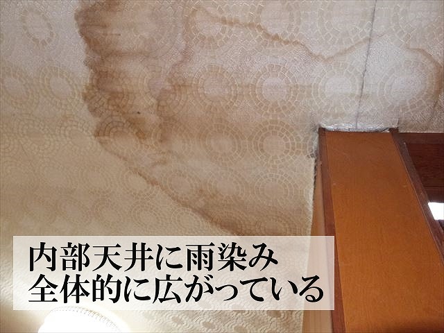 雨染みが全体に広がっている